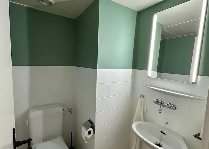 아파트 De Charme En Plein Centre ! *