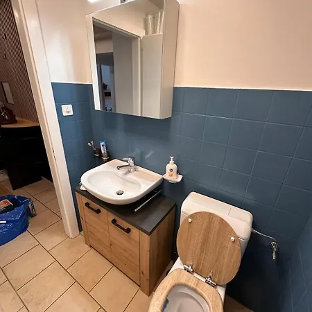 Apartman De Charme En Plein Centre !